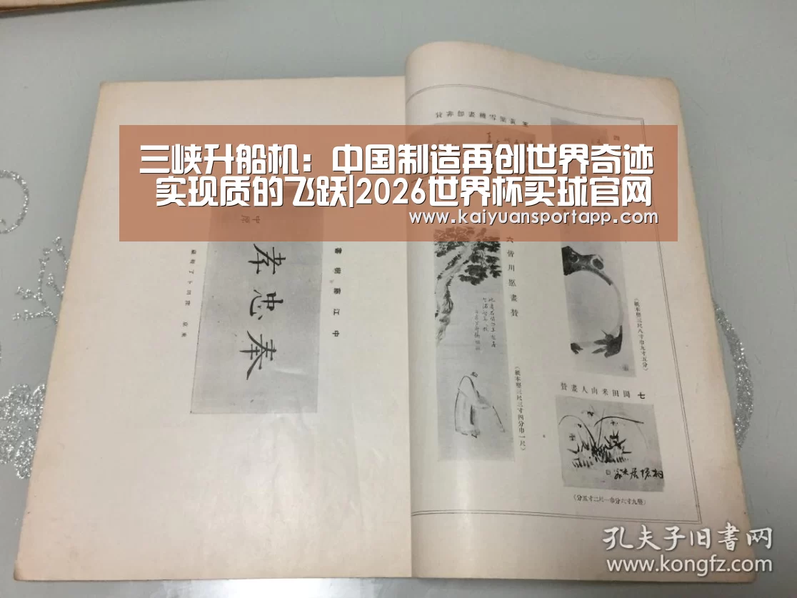 2026世界杯买球官网app