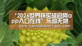 ‘2026世界杯买球官网app入口在线’乐高无限主线任务完成攻略 怎么完成任务(图1) 2026世界杯买球官网app入口在线