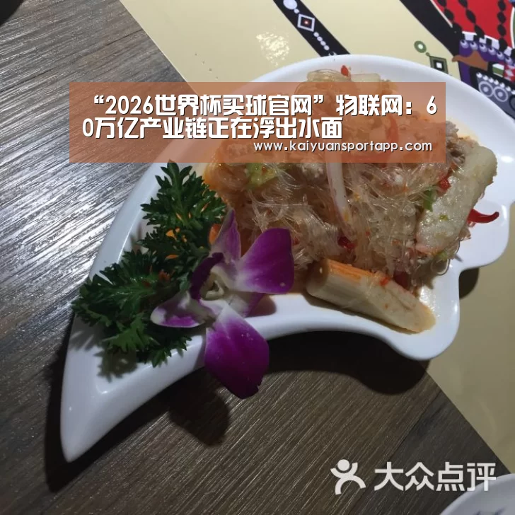 2026世界杯买球官网app