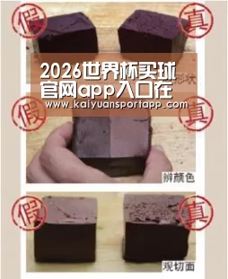 2026世界杯买球官网