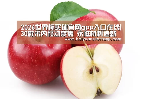 2026世界杯买球官网app入口在线