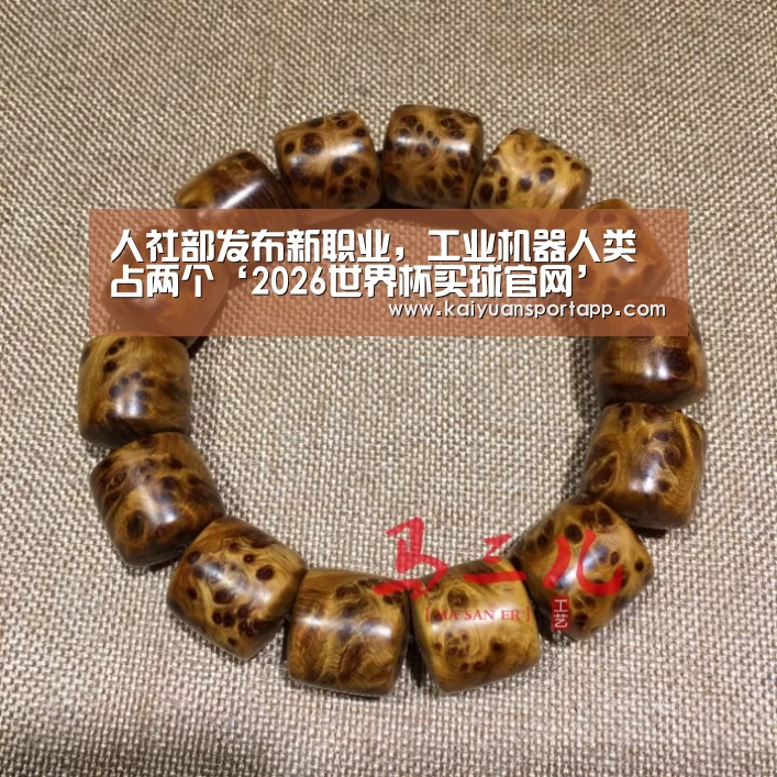 2026世界杯买球官网app入口在线
