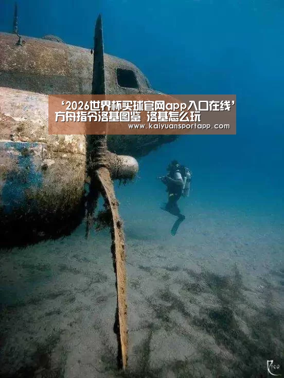 ‘2026世界杯买球官网app入口在线’方舟指令洛基图鉴 洛基怎么玩