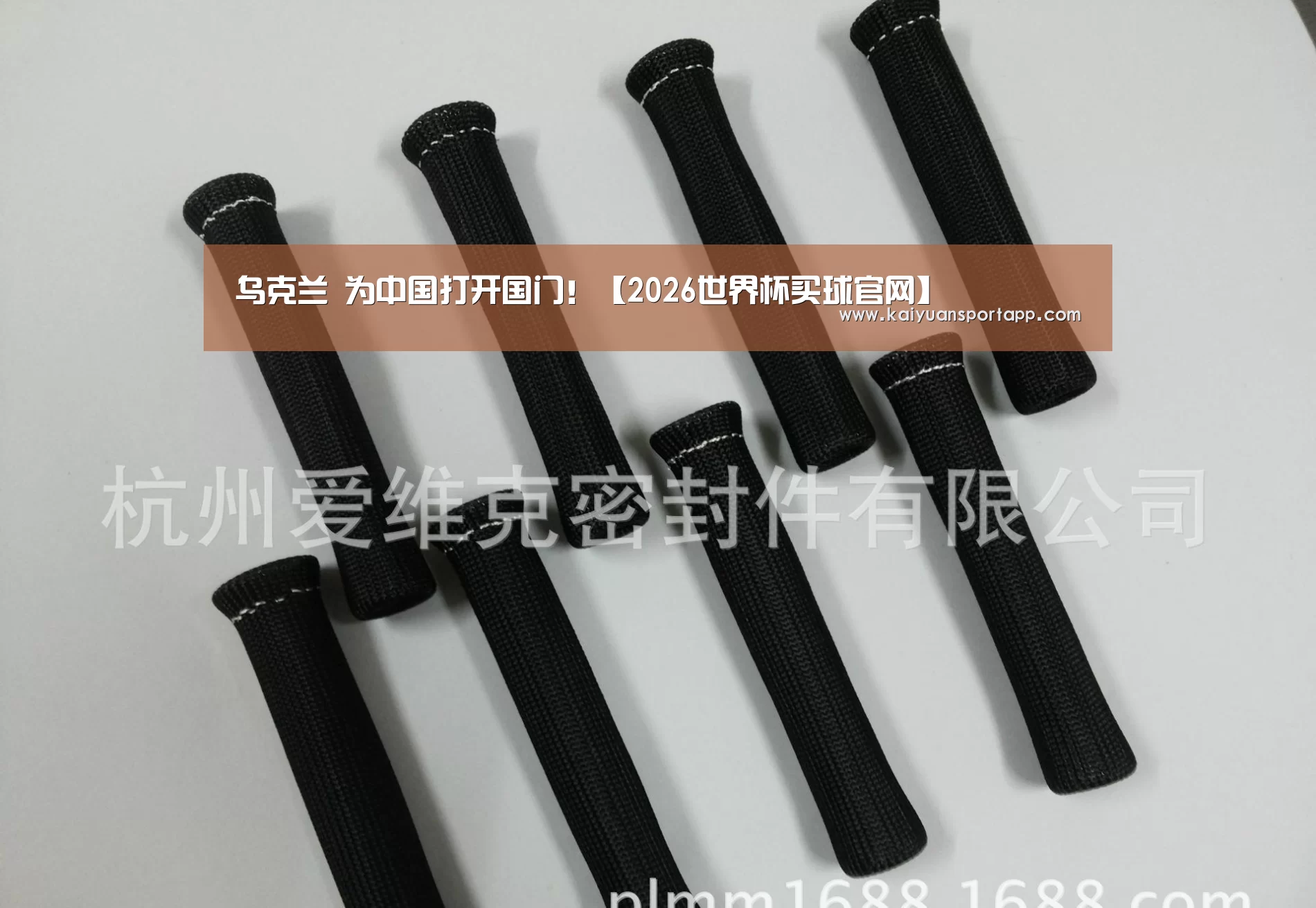 2026世界杯买球官网app入口在线