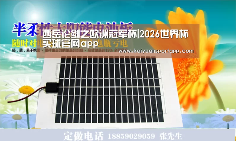 西岳论剑之欧洲冠军杯|2026世界杯买球官网app(图1) 2026世界杯买球官网