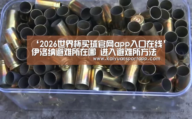 2026世界杯买球官网app入口在线