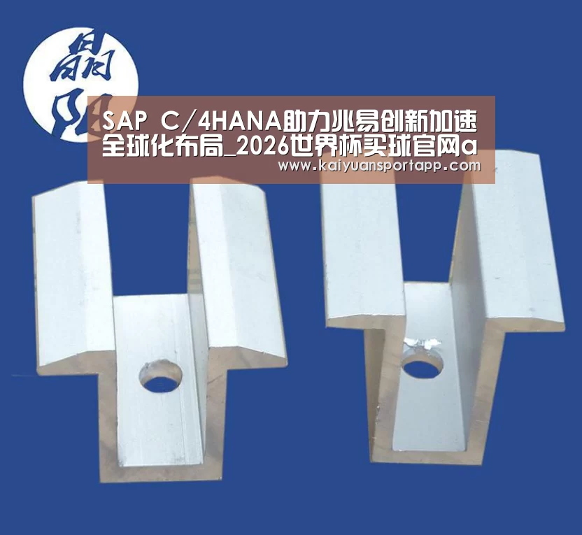 SAP C/4HANA助力兆易创新加速全球化布局_2026世界杯买球官网app入口在线(图3) 2026世界杯买球官网