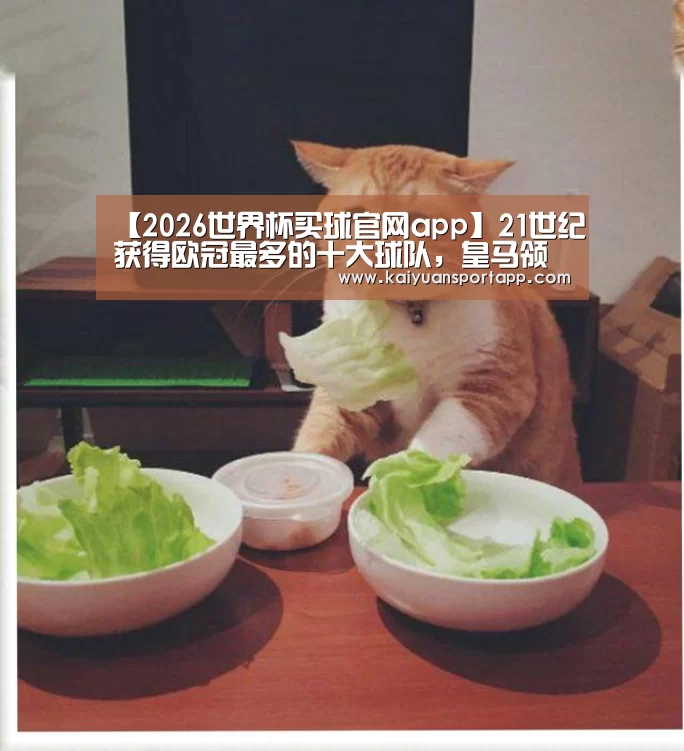 2026世界杯买球官网app入口在线