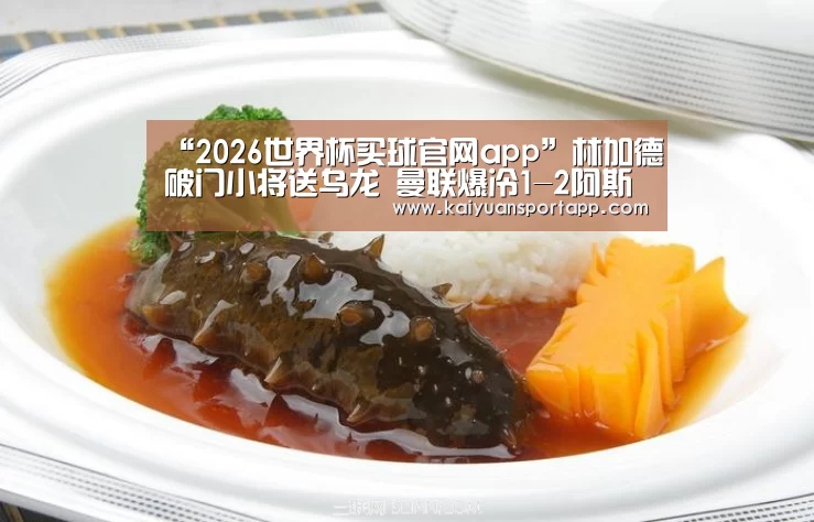 2026世界杯买球官网